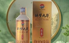 醉梦九华