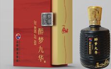 醉梦九华酒