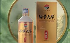 醉梦九华云尊
